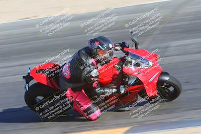 media/Jan-13-2025-Ducati Revs (Mon) [[8d64cb47d9]]/3-B Group/Session 5  (Turn 10 Inside)/